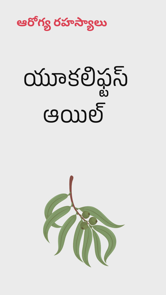 యూకలిప్టస్ ఆయిల్ / నీల గిరి తైలం 30 మి.లీ
