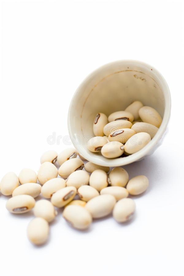 Doolagondi seeds / Mucuna seeds